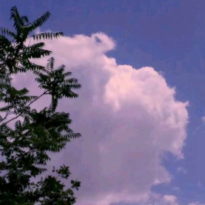 梦道西游gm版下载